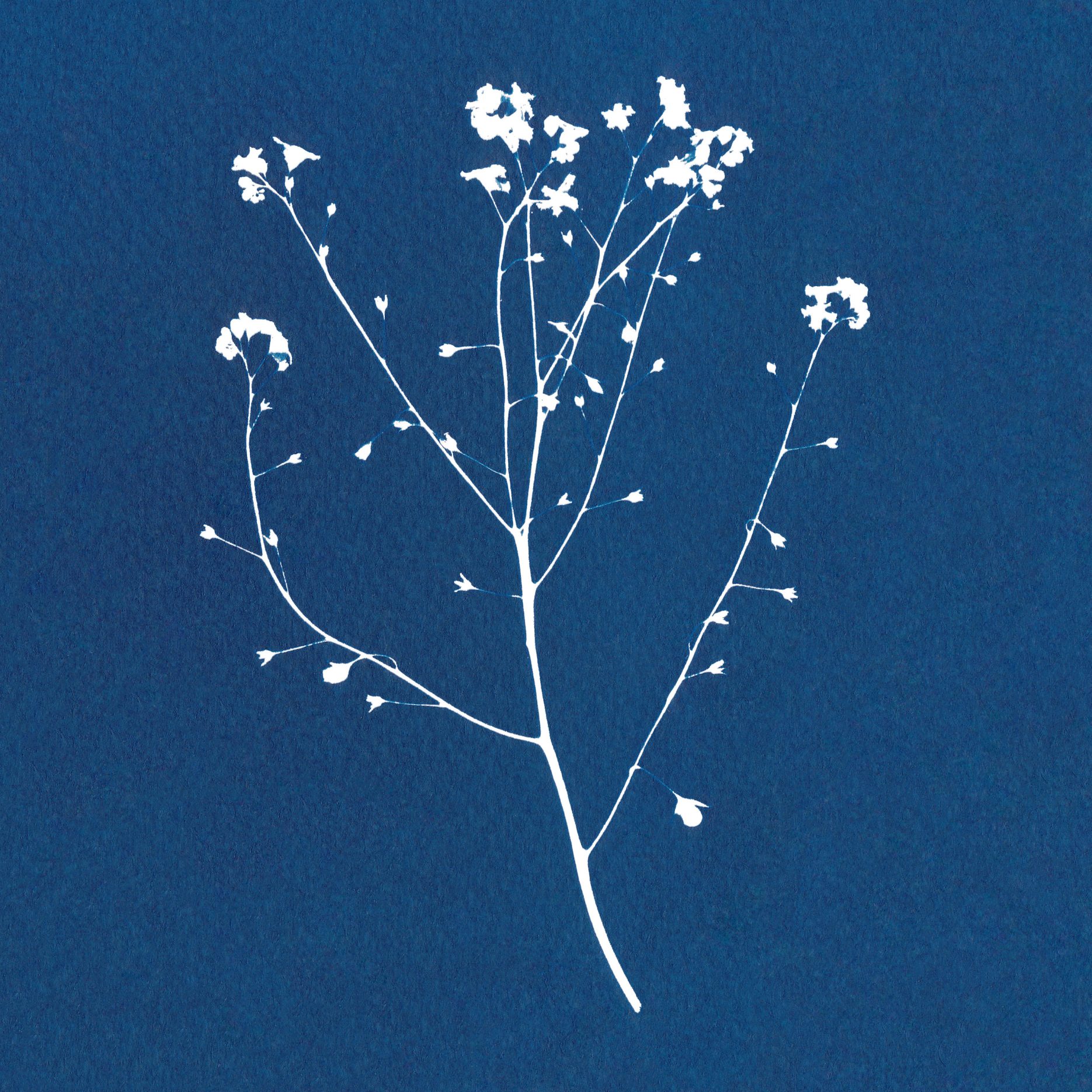 Gallery Six - Catch the Flavor