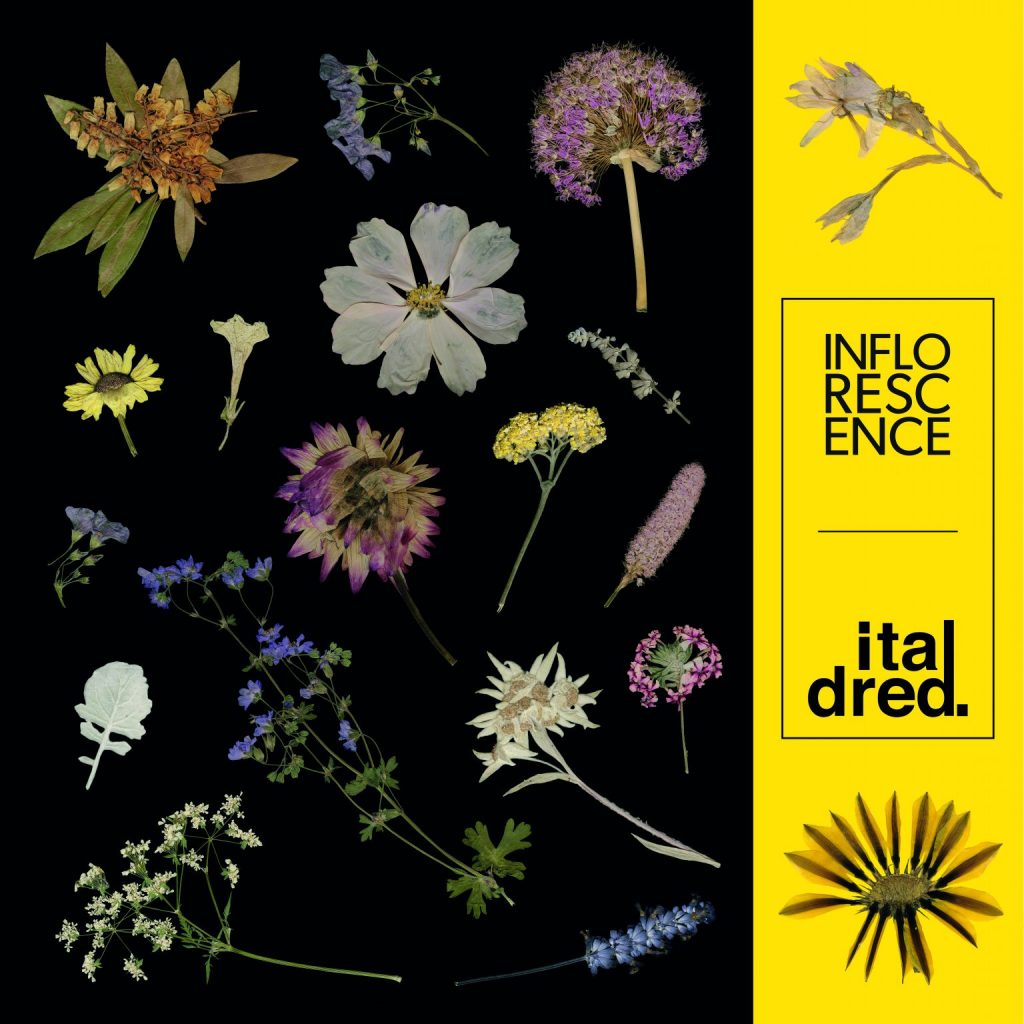 Italdred Records - Inflorescence
