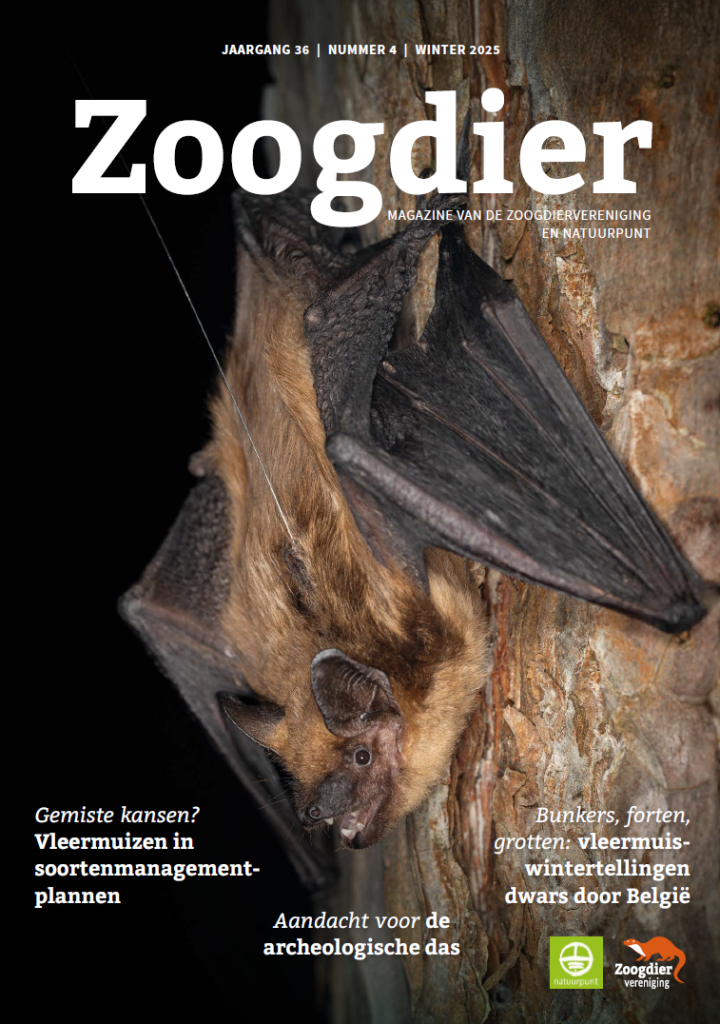 Cover van Zoogdier 36-4